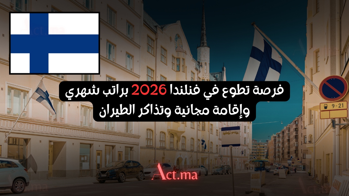 فرصة تطوع في فنلندا 2026 براتب شهري وإقامة مجانية وتذاكر الطيران